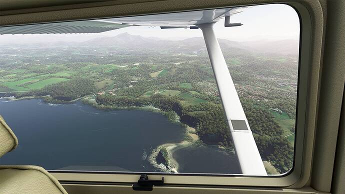 Microsoft Flight Simulator 2021-05-15 15_13_33