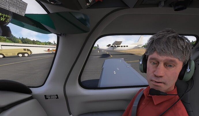 Microsoft Flight Simulator 2024-2024_11_23-17_36_43-01