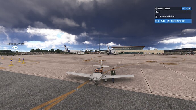 Microsoft Flight Simulator 2024 - 1.2.11.0 2025-01-16 14_11_00