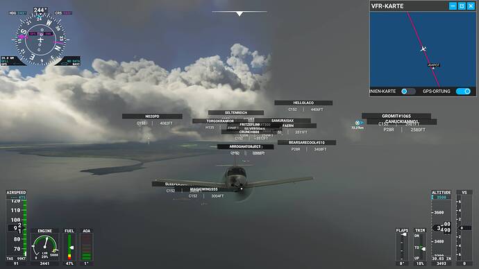 Microsoft Flight Simulator 02.08.2021 21_01_22_Bildgröße ändern