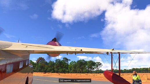 Grumman G-21A Goose - Wing Rod 2