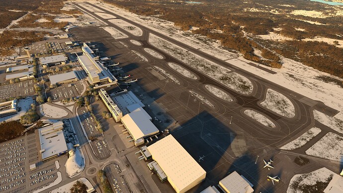 Microsoft Flight Simulator 25_03_2025 02_39_45