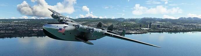 Microsoft Flight Simulator 3_11_2023 1_11_08 PM