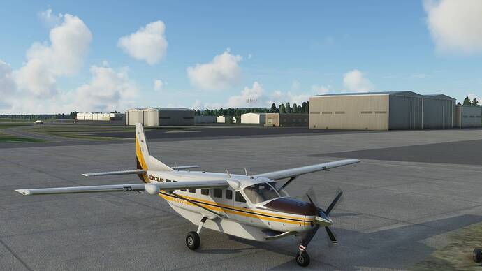 Microsoft Flight Simulator 6_17_2021 8_36_04 PM