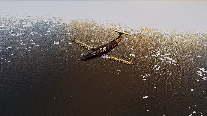 Microsoft Flight Simulator Screenshot 2026.05.20 - 00.44.46.41