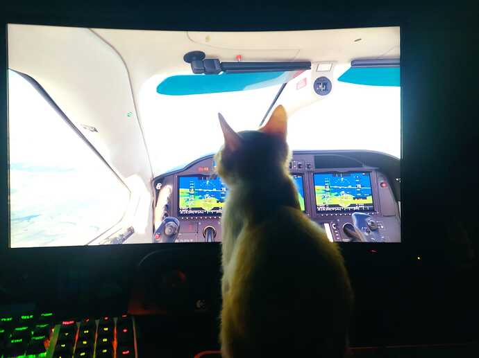 WhatsApp Image 2022-03-09 at 08.38.45