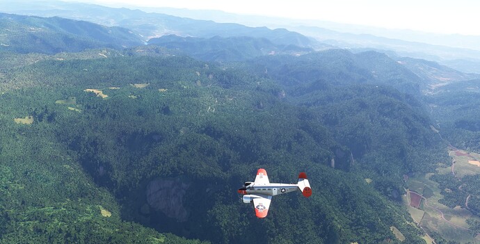 Microsoft Flight Simulator-2024_12_28-18-28-25
