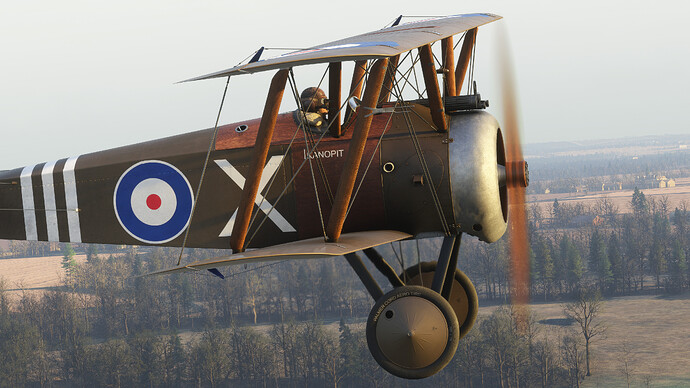 55121388891_58521af631_4k