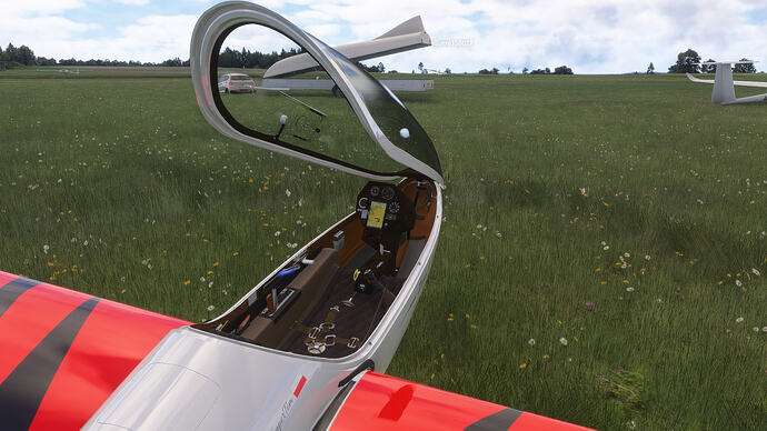 Diana Cockpit