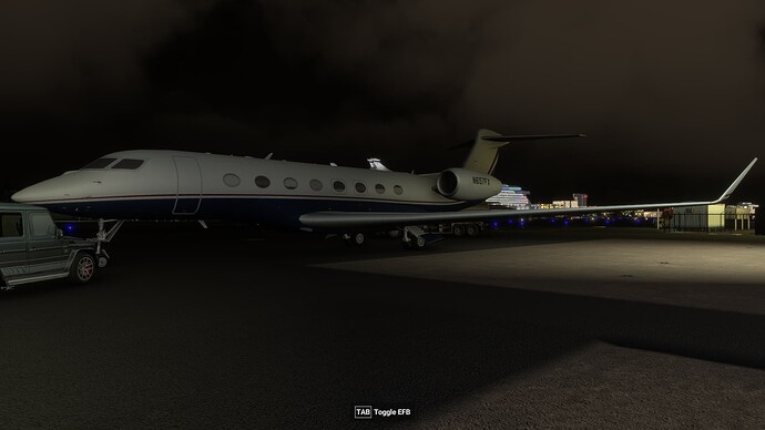 FlightSimulator2024 2025-09-21 19-58-30_979
