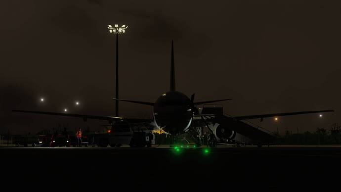 Microsoft Flight Simulator 2024 28_02_2026 15_55_58