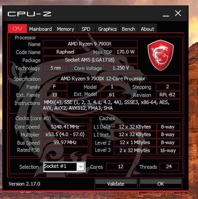 cpu info