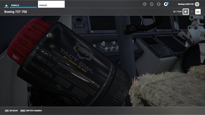 Microsoft Flight Simulator - 1.27.21.0 11_1_2022 8_12_43 PM