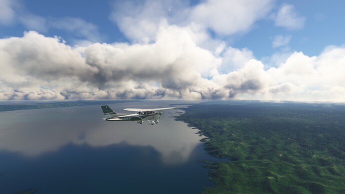 Microsoft Flight Simulator 8. 2. 2024 22_31_29