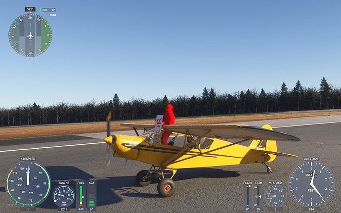 Microsoft Flight Simulator 2024 22_11_2024 19_01_12