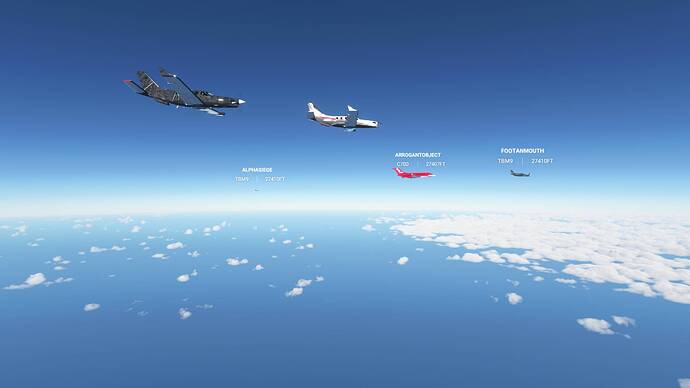 Microsoft Flight Simulator 8_8_2021 1_38_07 PM