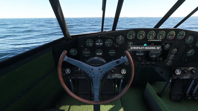 Microsoft Flight Simulator 21_10_2024 15_25_25