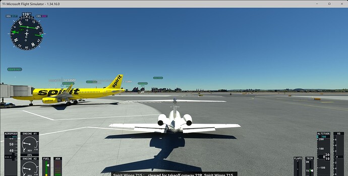 Microsoft Flight Simulator