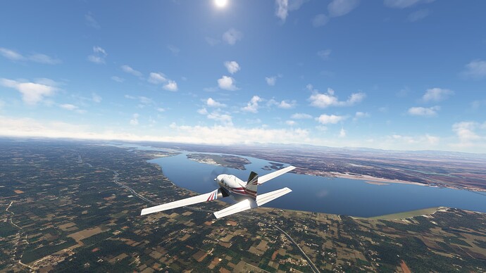 Microsoft Flight Simulator-2025_03_09-13-09-53 (1)