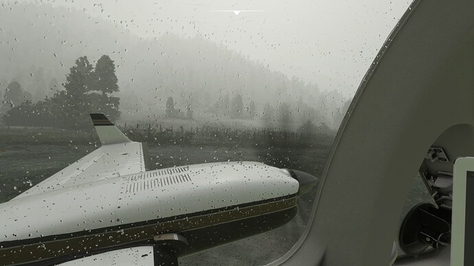 Microsoft Flight Simulator 6_20_2022 8_21_57 PM