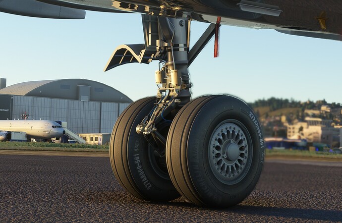 MSFS-MAX1