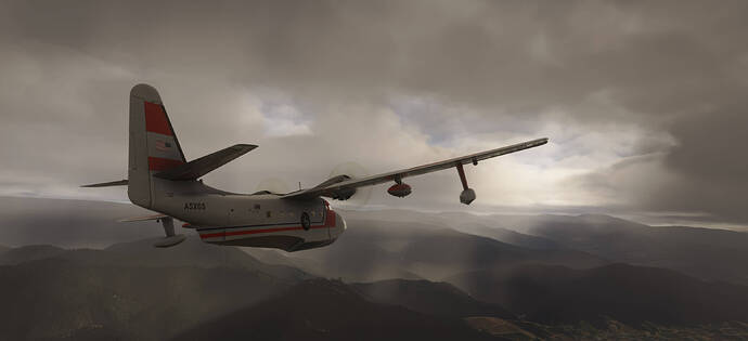 Albatross-BlackForest-01