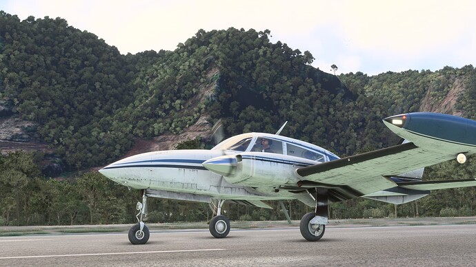 Microsoft Flight Simulator Screenshot 2025.03.23 - 01.30.41.81