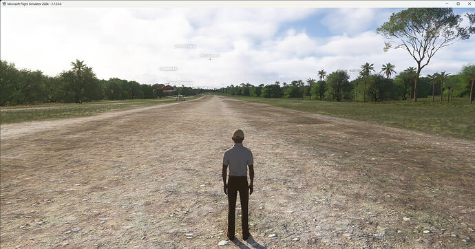 Microsoft Flight Simulator 2024 10-Jul-26 21_05_25