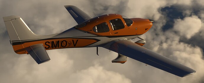 Cirrus SR22 Registration 4