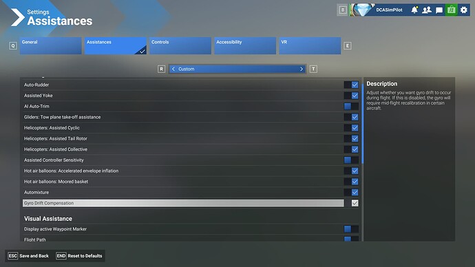 MSFS2024-GyroDriftSetting