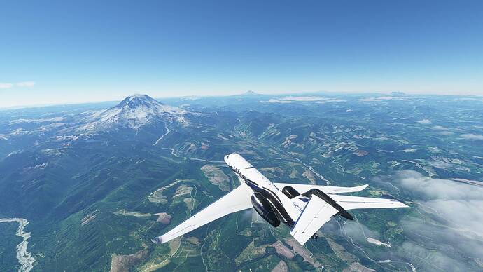 Microsoft Flight Simulator 6_19_2021 10_51_58 AM