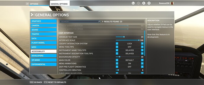 FlightSimulator_KvzZlWXnW6