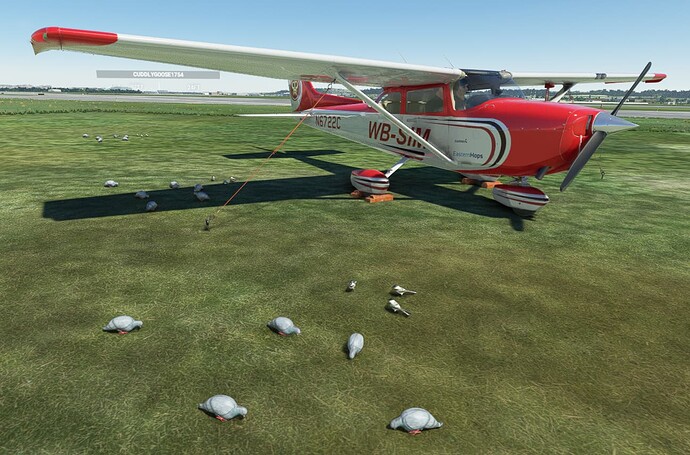 wb-sim-C172-Tied-Down4