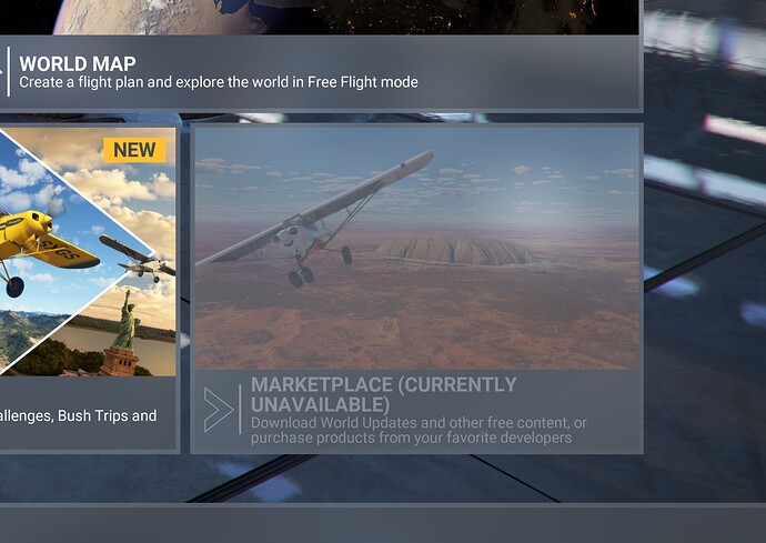 MSFS marketplace