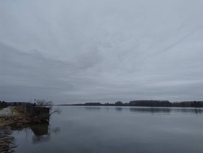 IMG_20260214_095012617