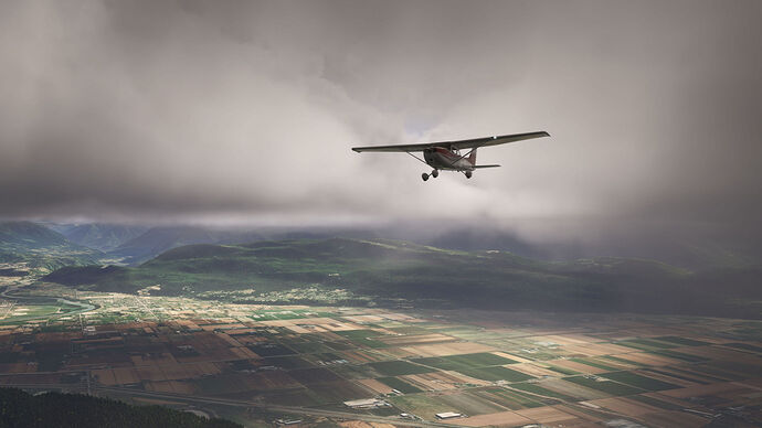 FS2024 2025-06-12 117