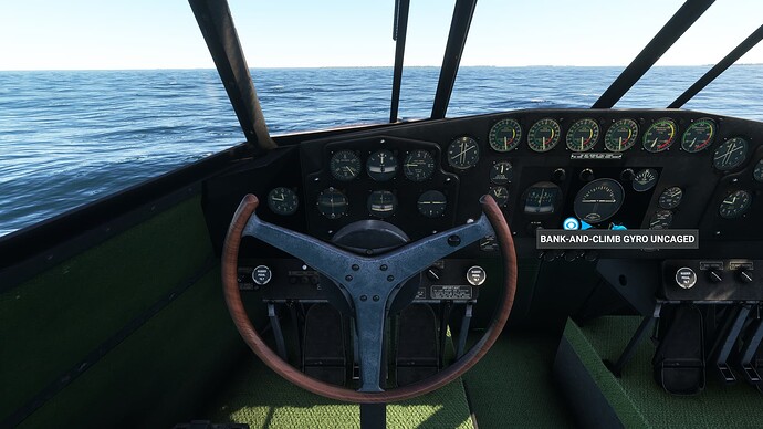 Microsoft Flight Simulator 21_10_2024 15_26_00
