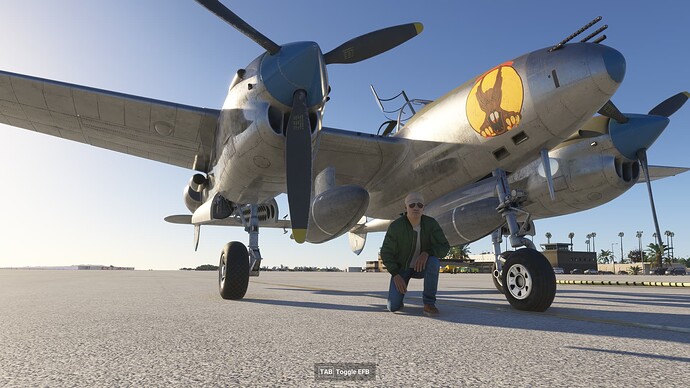 Microsoft Flight Simulator 2024 11_23_2024 5_08_08 PM