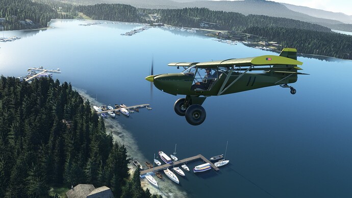 Microsoft Flight Simulator 23_08_2022 17_13_15