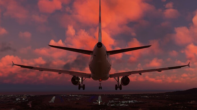 Microsoft Flight Simulator (14)