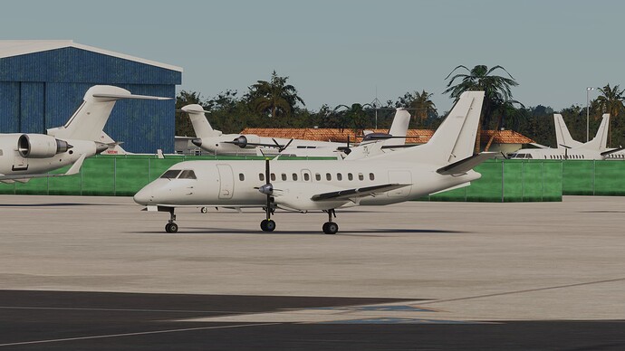 Microsoft Flight Simulator 05_05_2025 02_23_08
