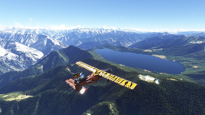 Microsoft Flight Simulator Screenshot 2022.07.15 - 22.20.06.17