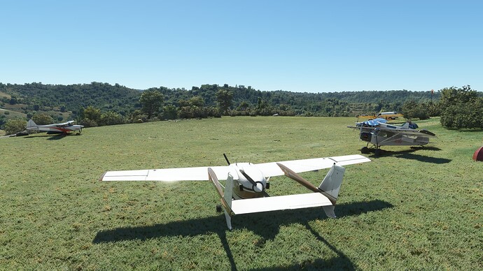 Microsoft Flight Simulator Screenshot 2022.04.26 - 19.34.09.27