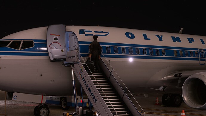 Microsoft Flight Simulator 8_19_2022 8_12_59 PM