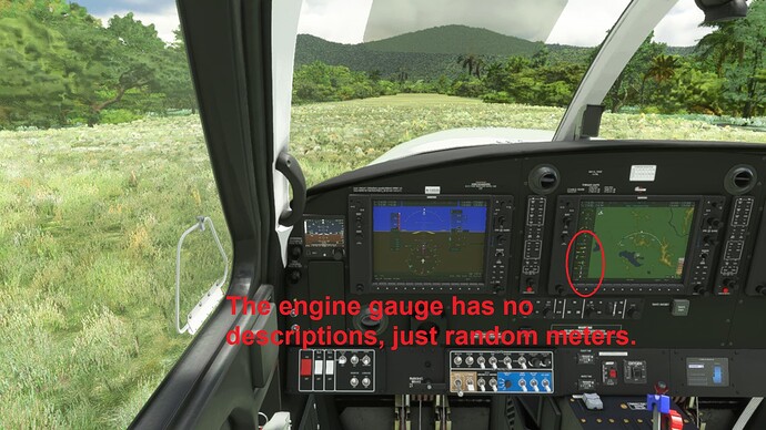 Microsoft Flight Simulator 26.12.2021 11_37_50