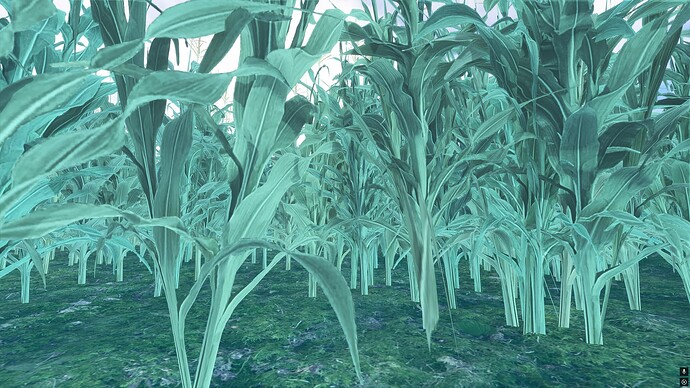 Screenshot 2025-02-24 023249