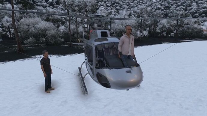 Microsoft Flight Simulator 2024 Screenshot 2025.05.20 - 22.28.39.39