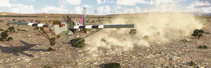 Microsoft Flight Simulator 2024 2_5_2026 10_43_40 PM