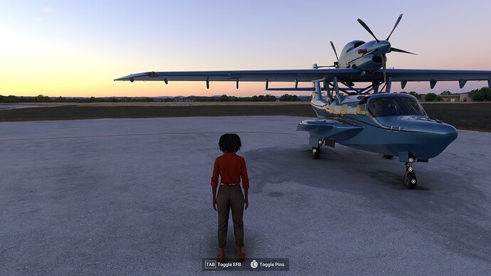 Microsoft Flight Simulator 2024 11_20_2024 6_37_43 AM