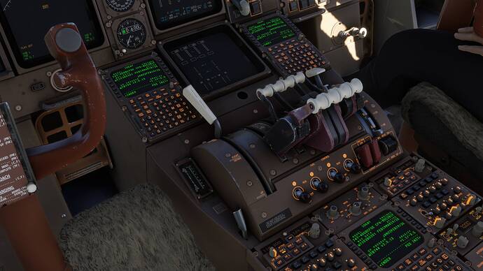 Microsoft Flight Simulator 2024 21_02_2026 22_58_13